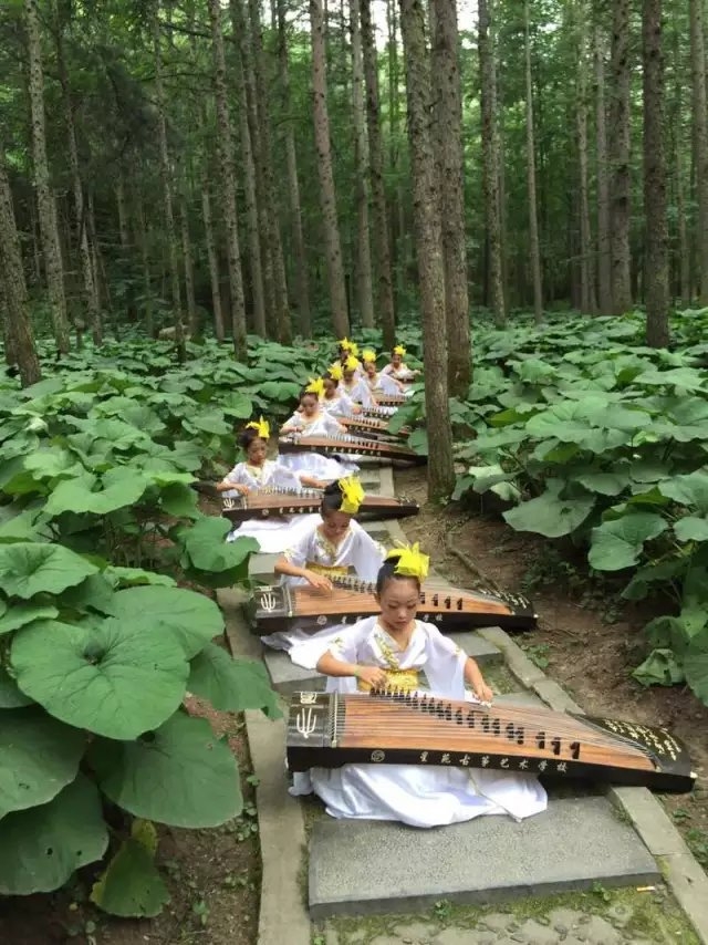 筝筝日上·森林阶梯合奏